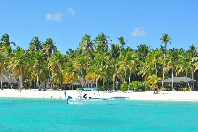 Full Day Tour to Saona Island by Catamaran and Speedboat - Beach Massage and the Art of Not Overpaying