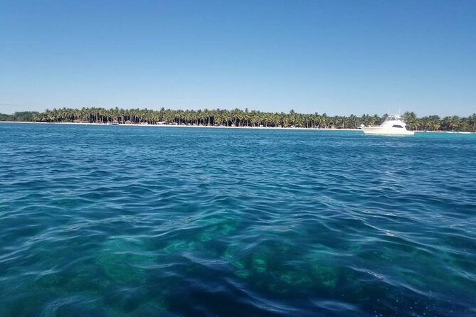 Full Day Tour to Saona Island by Catamaran and Speedboat - Value for $80: What You’re Really Buying
