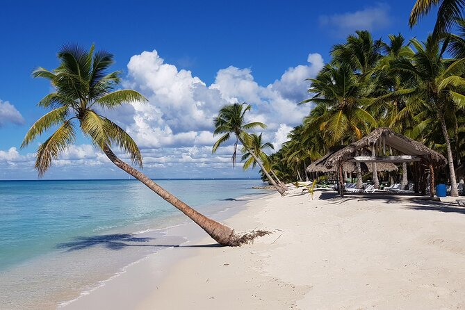 Full Day Tour to Saona Island by Catamaran and Speedboat - Catamaran or Speedboat: How You’ll Spend Most of the Day on the Water
