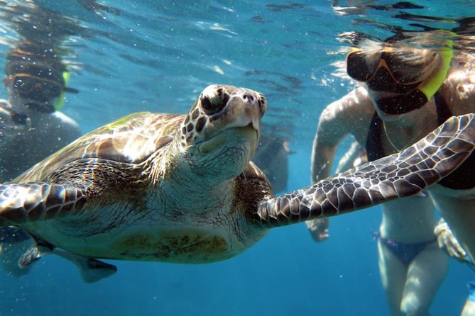 Full-day Tour to the Similan Islands by Speedboat from Khao Lak - Price and Value: Is $101.18 Worth It?