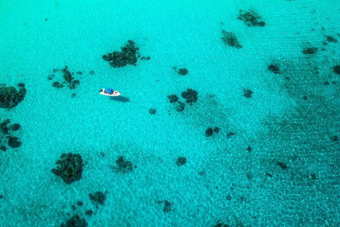 Full-day Tour to the Similan Islands by Speedboat from Khao Lak - First Island Stop: Beach Time and a Viewpoint Option