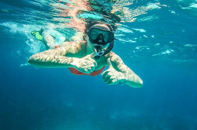 Full-Day Trip to Koh Tao and Koh Nang Yuan from Koh Samui by Speedboat - Who This Tour Is Best For (and Who Might Want Another Option)