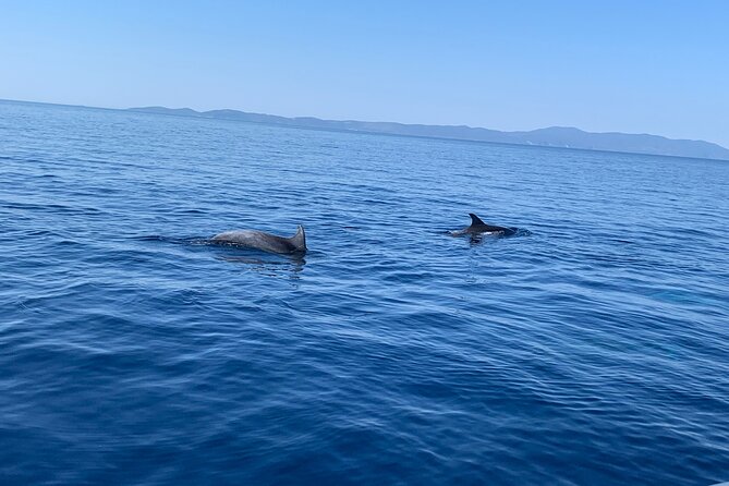 Fully customized private boat trip from Trogir and Split - Brac Island and Milna: Where the Stop Often Turns Into Lunch Plans
