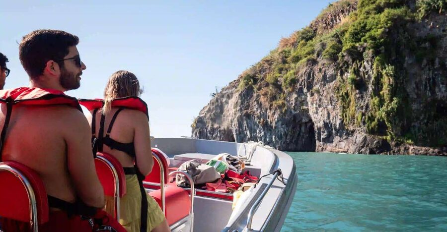 Funchal: Speedboat SEE THE ISLAND AND LIFE AT SEA - Dolphins, pilot whales, and the real goal of the day