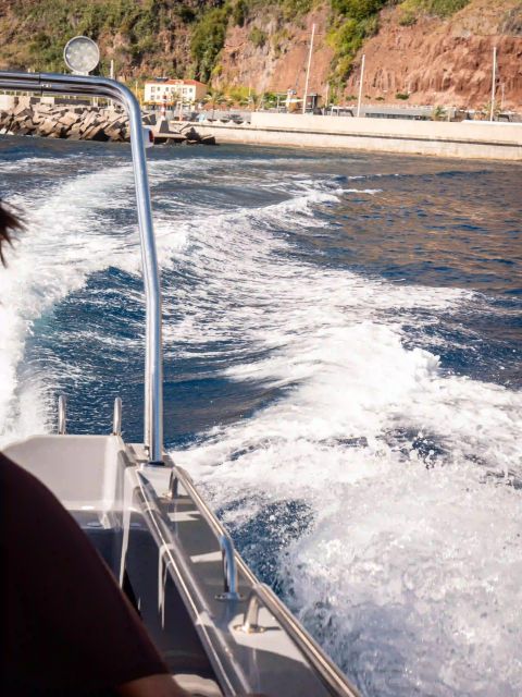 Funchal: Speedboat SEE THE ISLAND AND LIFE AT SEA - Coastal cliffs and coves you’ll actually notice from the water
