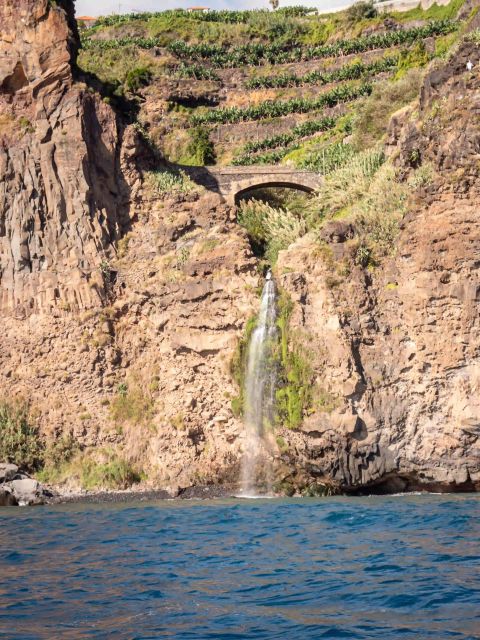 Funchal: Speedboat SEE THE ISLAND AND LIFE AT SEA - The mid-tour water plunge: how to be ready without overpacking