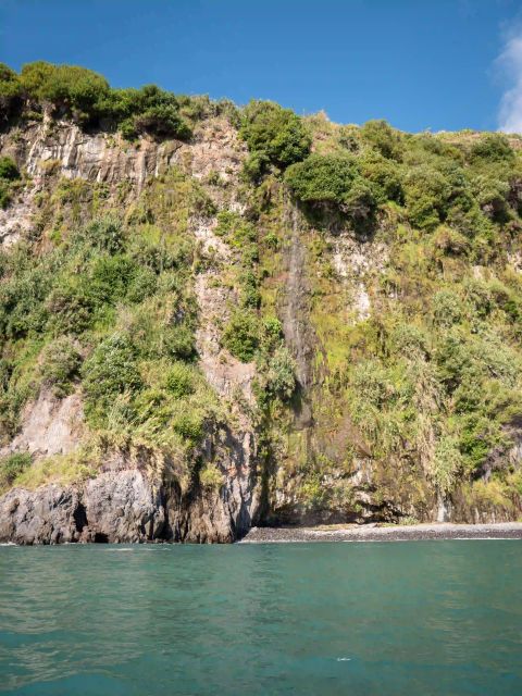 Funchal: Speedboat SEE THE ISLAND AND LIFE AT SEA - Who should book this Funchal speedboat tour