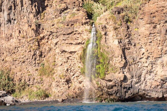 Funchal: Speedboat tour- SEE THE ISLAND AND LIFE AT SEA - Getting There at Marina do Funchal (and Staying for the Whole Loop)
