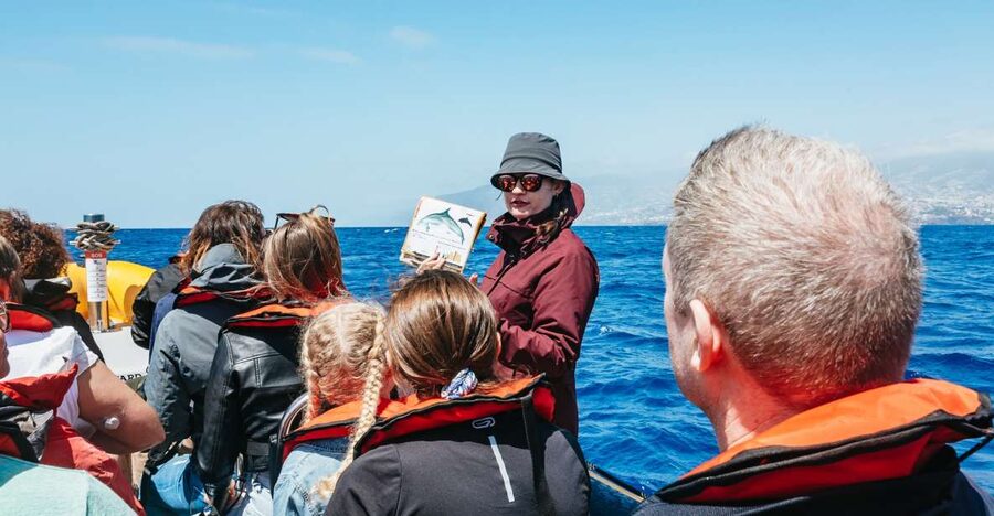 Funchal: Whale and Dolphin Watching Speed Boat Tour - The Marine Biologist On Board: How You Actually Learn What You’re Seeing