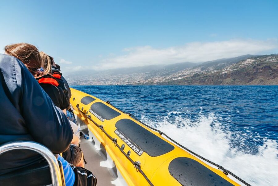 Funchal: Whale and Dolphin Watching Speed Boat Tour - Safety, Getting Soaked, and Who Should Skip This One