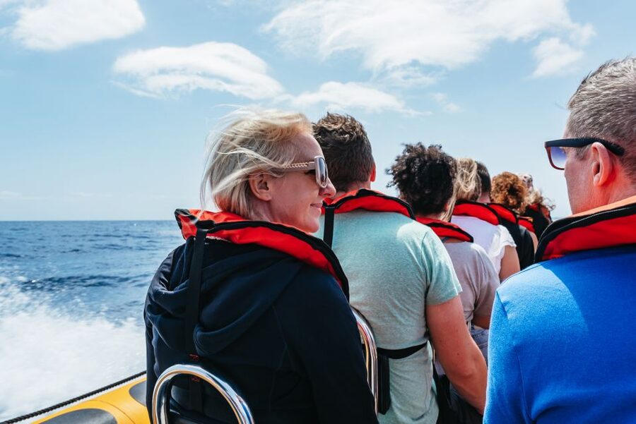 Funchal: Whale and Dolphin Watching Speed Boat Tour - Price and Value: Is $56 Worth a Guided Speed-Boat Whale Hunt?