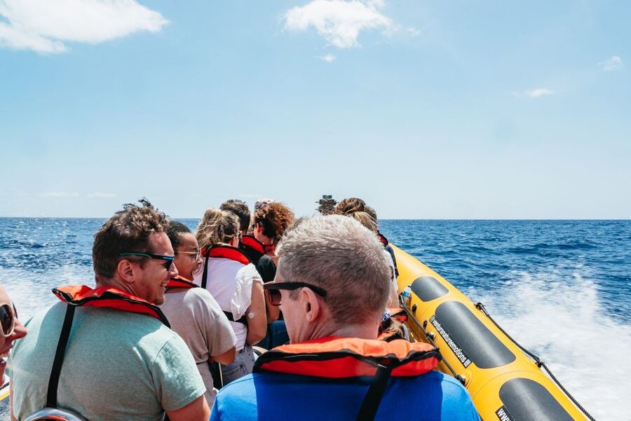 Funchal: Whale and Dolphin Watching Speed Boat Tour - Photo and Phone Tips That Actually Help