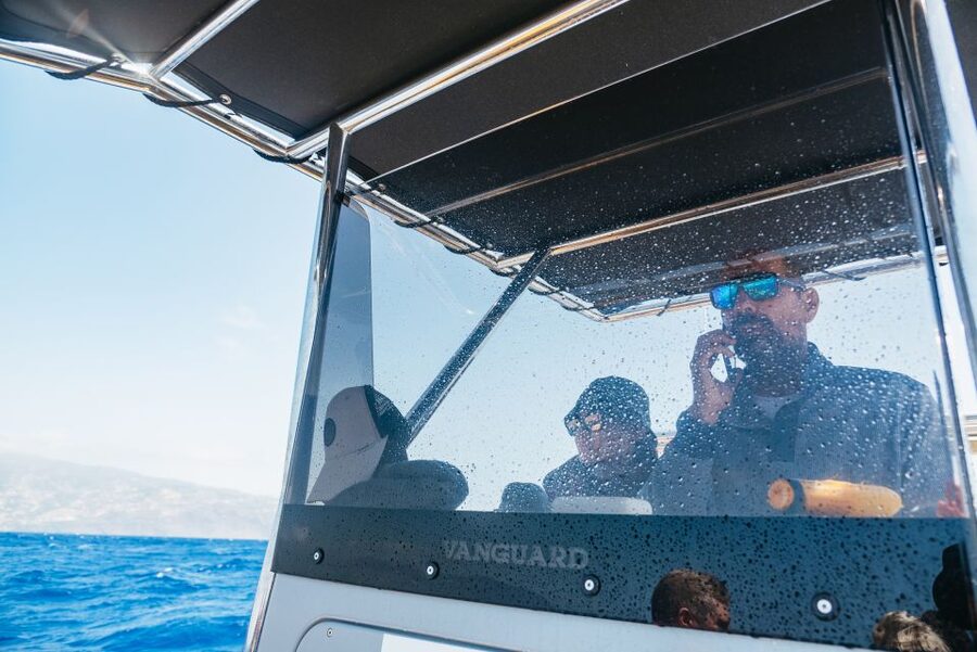 Funchal: Whale and Dolphin Watching Speed Boat Tour - Should You Book This Funchal Whale and Dolphin Speed Boat Tour?