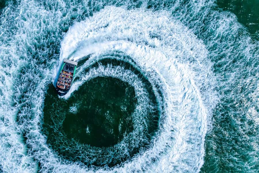 Gold Coast: Jet Boat Ride & Sea World Entry Ticket - Key things to know before you go