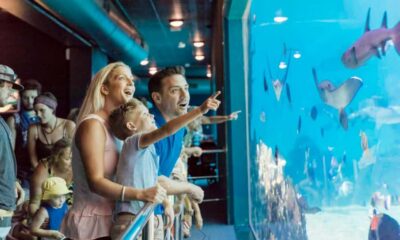 Gold Coast: Jet Boat Ride & Sea World Entry Ticket - The smooth start: boarding at Sea World Cruise Terminal