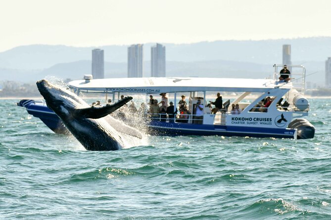 Gold Coast V8 Jet Boat Rapid Ride - Small Group Size: Why It Matters More Than You’d Think