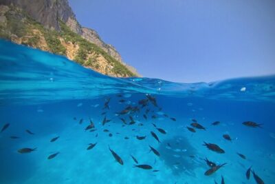 Gulf of Orosei Speedboat Trip with Aperitif from Cala Gonone - Cala Luna: turquoise water, limestone cliffs, and real beach time