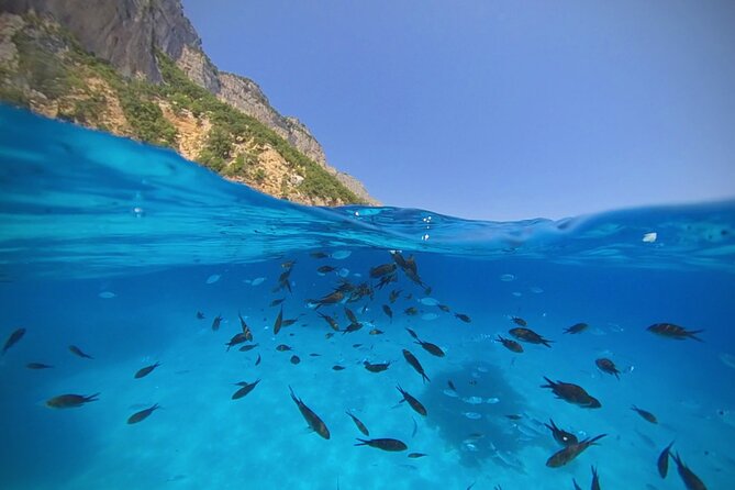 Gulf of Orosei Speedboat Trip with Aperitif from Cala Gonone - Cala Luna: turquoise water, limestone cliffs, and real beach time