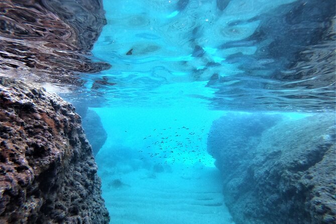 Half-Day Best Beaches & Bays Private Speed Boat Tour - Stop 3: Kolocep for cave snorkeling and cliff-jumping options