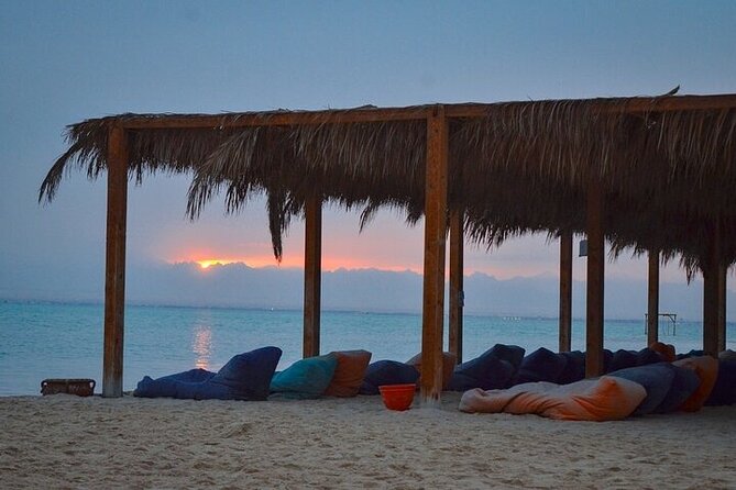 Half Day Private Speedboat Dolphin House & Giftun Island_Hurghada - Who should book this Orange Bay speedboat tour