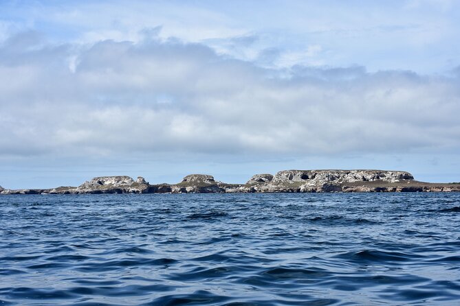 Half-Day Tour to Marietas Islands, Playa Nopalera by Speedboat - Playa Nopalera: rocky corners, real sea time
