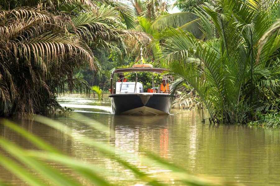 Ho Chi Minh City: Mekong Delta Full-Day Speedboat Tour - Thu Thua market: the Delta’s everyday pulse