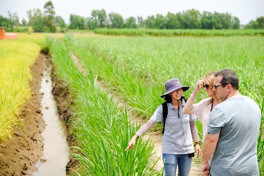 Ho Chi Minh City: Mekong Delta Full-Day Speedboat Tour - Thủ Thừa District: wine tasting, walking time, and river-side opinions