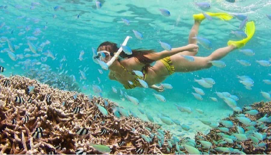 Hoi An: Cham Islands Snorkeling Trip by Speedboat with Lunch - Key points to know before you go