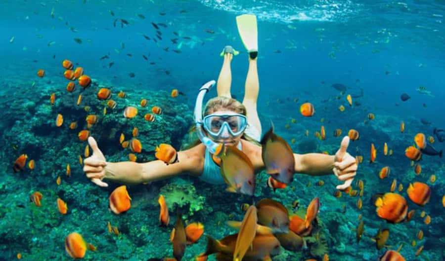 Hoi An: Cham Islands Snorkeling Trip by Speedboat with Lunch - Where you snorkel (Bãi Xếp or Hòn Tai) and what you’ll actually see
