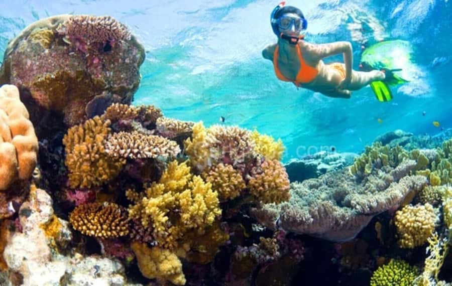 Hoi An: Cham Islands Snorkeling Trip by Speedboat with Lunch - Cham Island walk stops: more than just a snorkel transfer