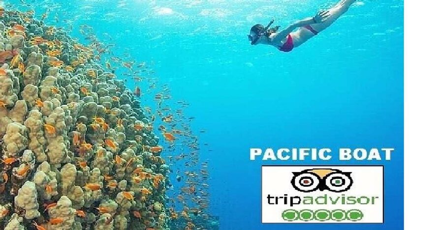 Hoi An/Da Nang: Snorkelling & Island-Hopping Speedboat Tour - Key highlights you’ll care about