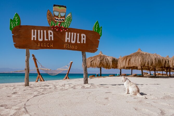 Hula Hula Island and Dolphin House with Snorkeling by Speedboat - Key Highlights You’ll Actually Feel
