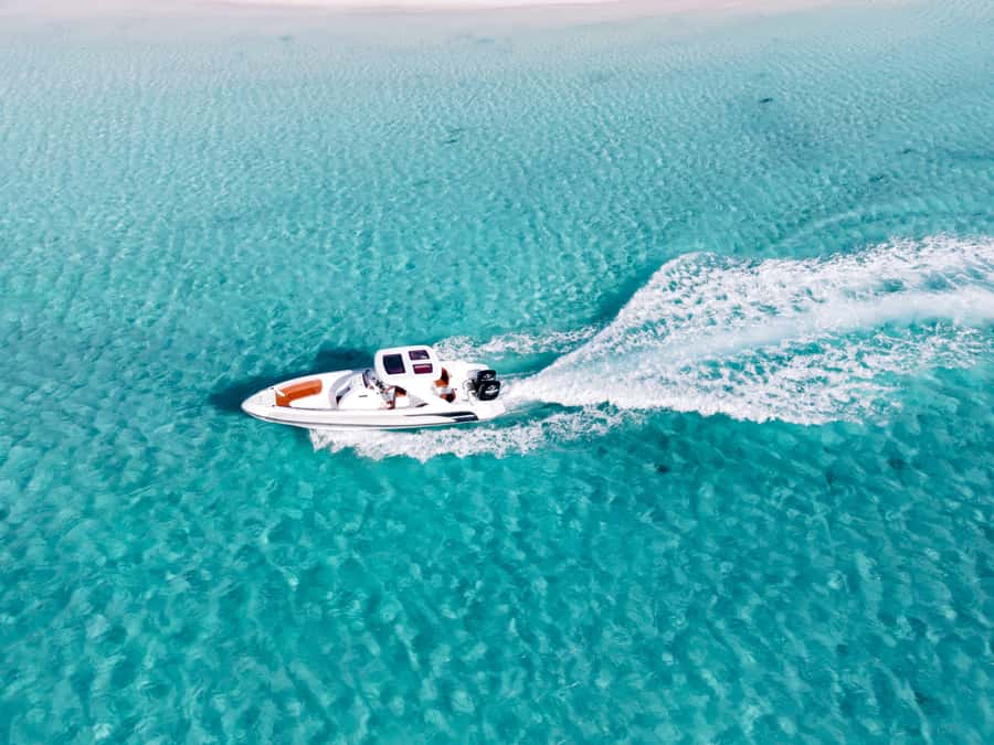 Hurghada: Paradise Speedboat w/ Optional Snorkeling & Lunch - Choosing Your Option: Shared vs Private and Morning vs Sunset