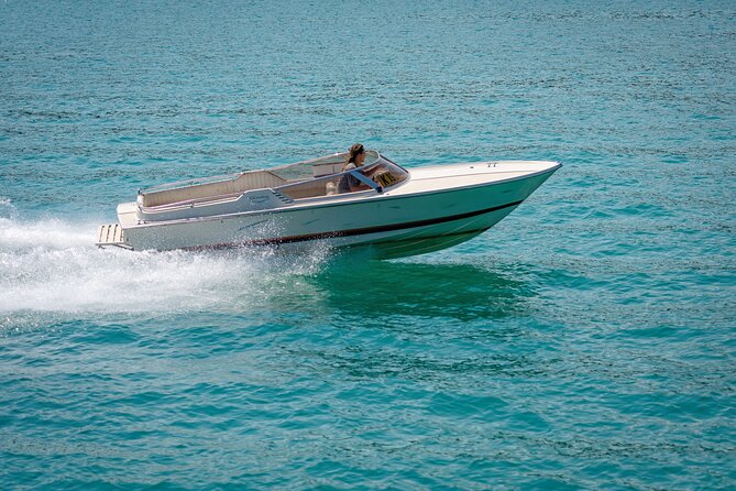 Hurghada: Private 4 Hours Speedboat Dolphin House Snorkling Tour - Key things to know before you book
