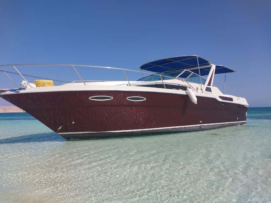 Hurghada: Private Luxury Speedboat W Snorkelling & Fruits - The 4-hour flow: pickup, van ride, and where the time really goes