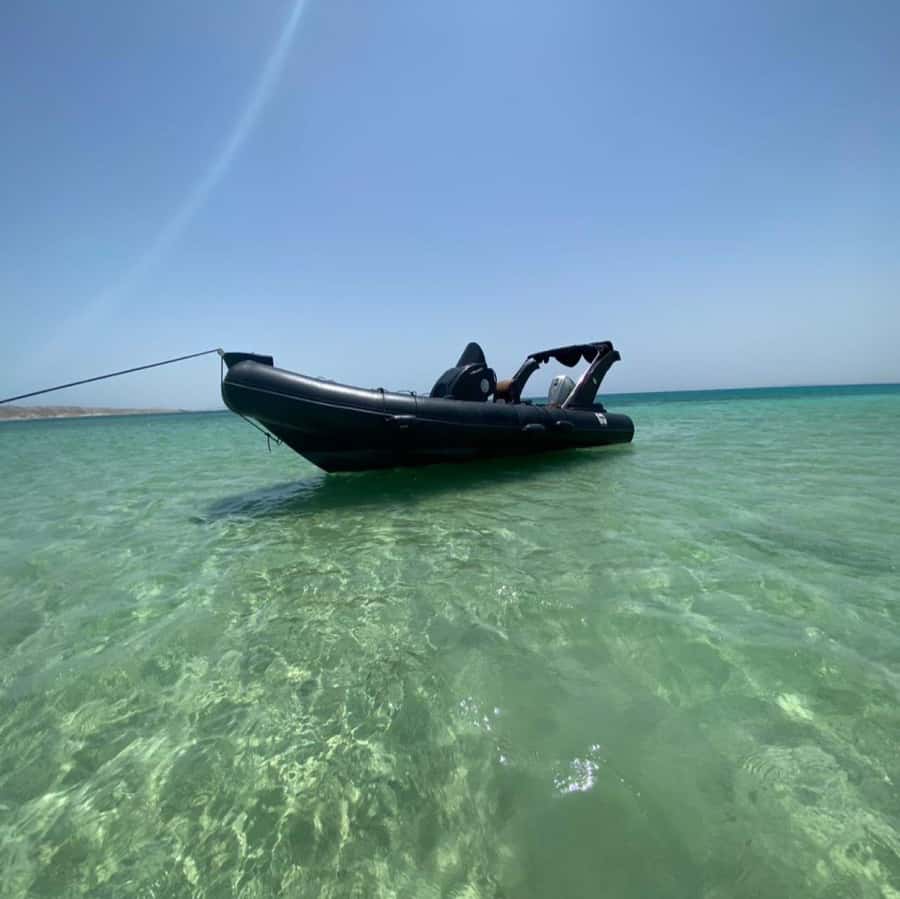 Hurghada: Private Speedboat to Dolphin House with Pickup - Key Things That Make This Dolphin House Trip Worth Your Time