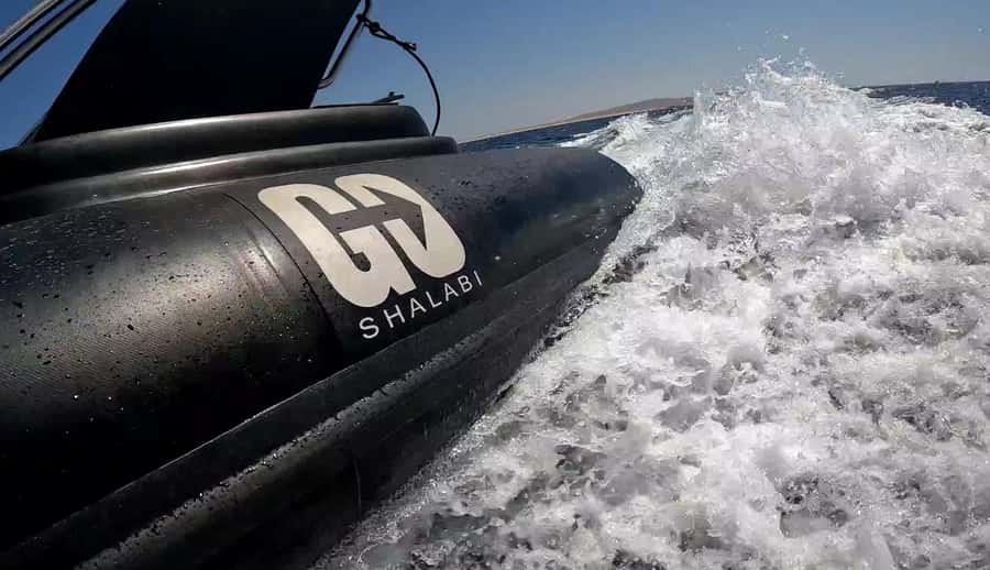 Hurghada: Private Speedboat to Dolphin House with Pickup - Snorkeling Stops and Marine Life: What You Should Plan to Look For