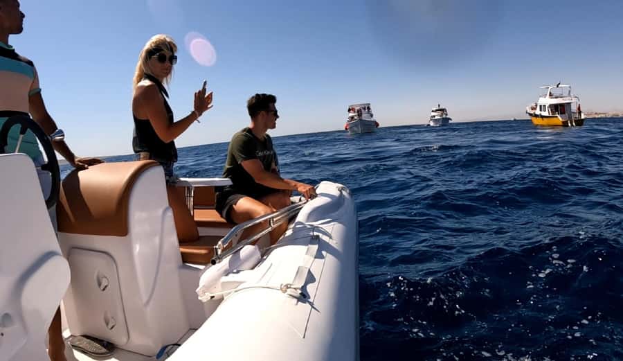 Hurghada: Private Speedboat to Dolphin House with Pickup - Price and Value: What $212 Covers (and What to Watch For)
