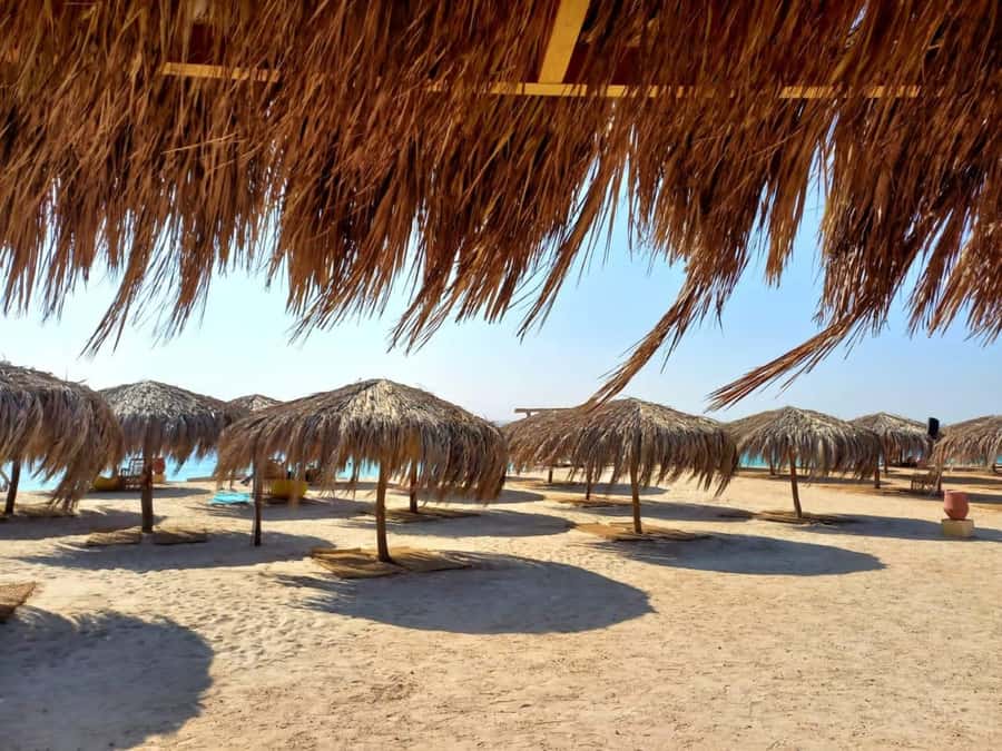 Hurghada: Private Speedboat to Magawish Island - The Speedboat Ride Across the Red Sea