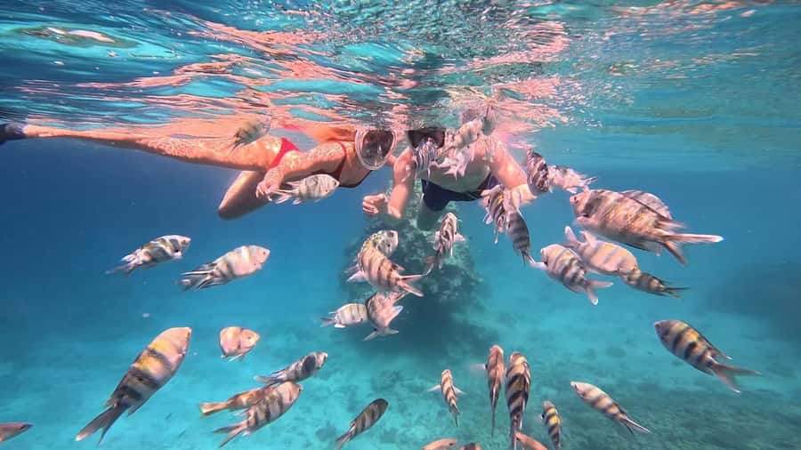 Hurghada: Snorkelling Trip by Speedboat with Hotel Pickup - Gear, Gear Use, and How Guides Actually Help