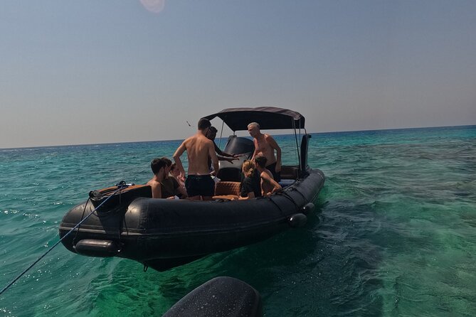 Hurghada Speedboat Dolphin Watching and Snorkeling - Tour timing: choosing a departure that fits your whole day