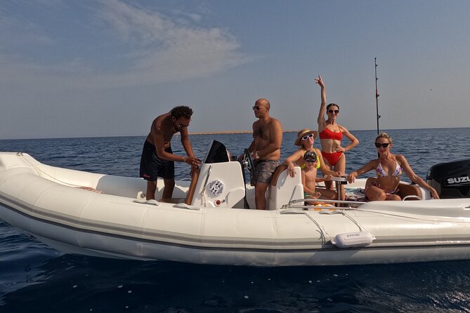 Hurghada Speedboat Dolphin Watching and Snorkeling - Stop 1: Dolphin House trip—your best “spotting” window