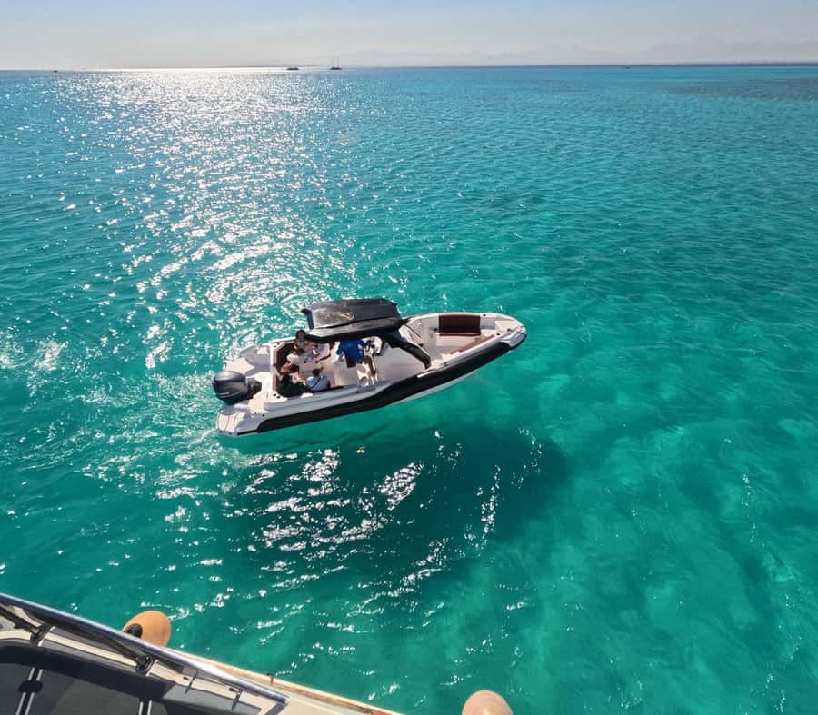 Hurghada: Speedboat Dolphin Watching & Snorkeling with Lunch - Speedboat Dolphin Watching in Hurghada: what the day feels like