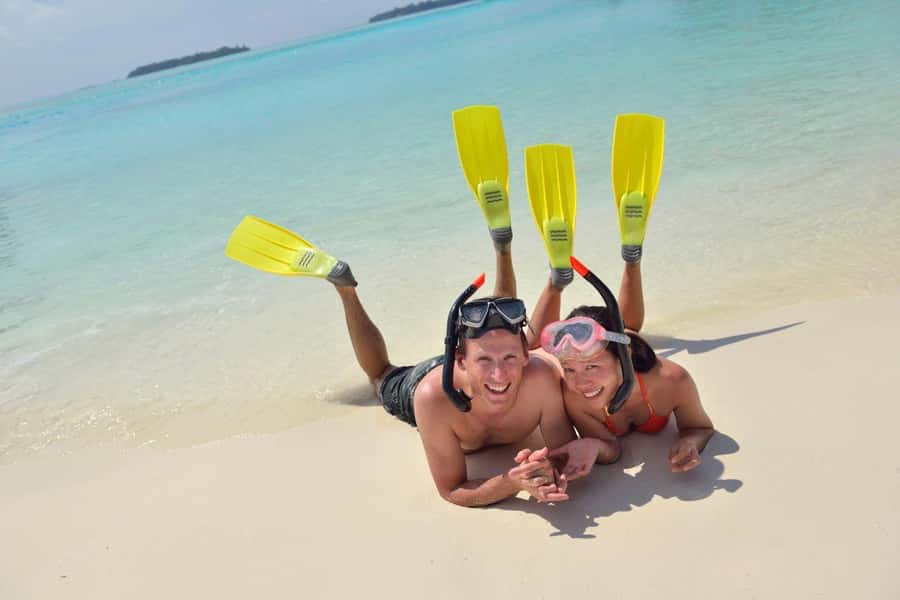 Hurghada: Speedboat Dolphin Watching & Snorkeling with Lunch - Safety, animal rules, and what to bring