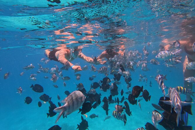 Hurghada Speedboat Trip to Orange Bay and Magawish Islands - Orange Bay: The 1-Hour White-Sand Reset