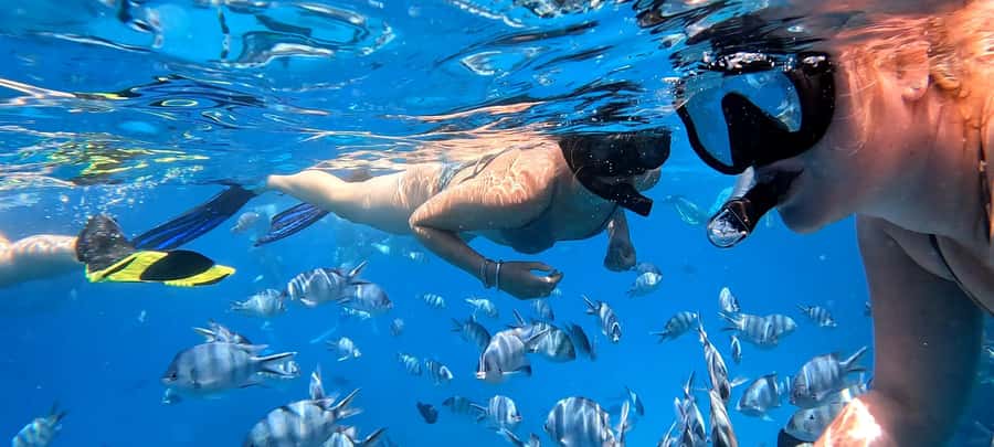 Hurghada: White Island Speedboat Tour, Snorkeling, & Lunch - Nemo Island (White Beach): 1.5 hours of beach time that feels unhurried