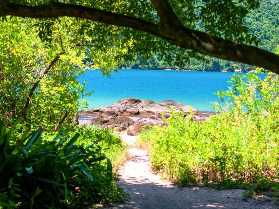 Idyllic Islands Private Speedboat Tour in Paraty - Who this Paraty speedboat tour fits best