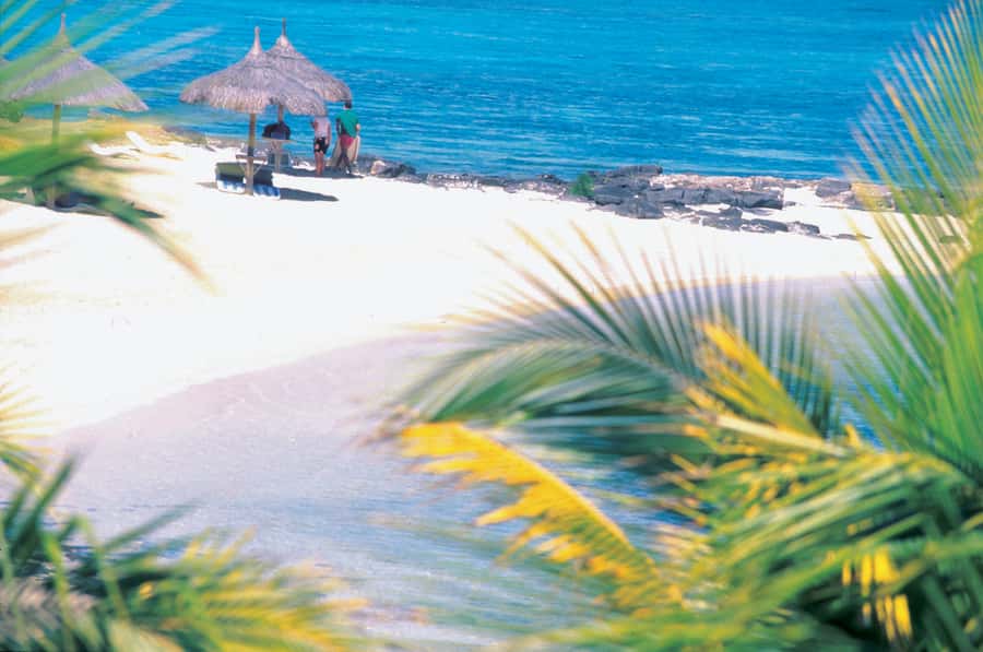 Ile aux Cerfs: Island & Waterfall Speedboat Tour with Lunch - Key things to know before you go
