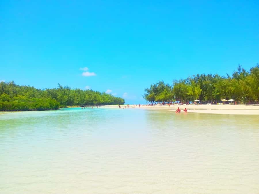 Ile aux Cerfs Speedboat Trip & Transport: Private or Shared - 3–4 Hours on Île aux Cerfs: Swim, Hike, and What to Expect Underfoot