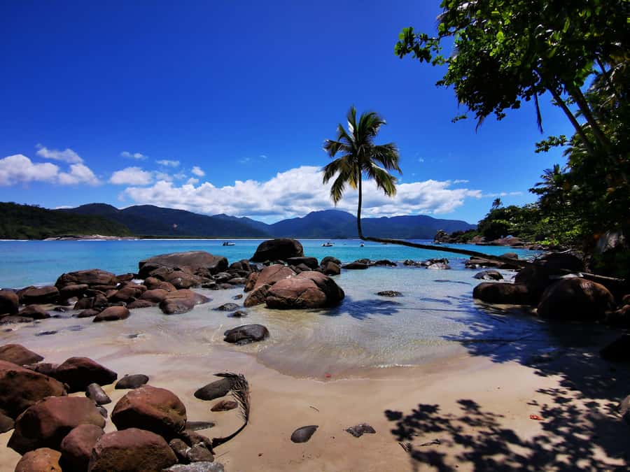 Ilha Grande: 360° Circumnavigation Speed Boat Tour - 8h - Key things to know before you go